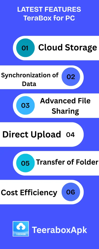 Features of TeraBox for PC
