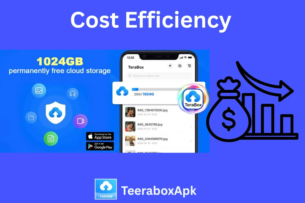 Terabox Cost Efficiency