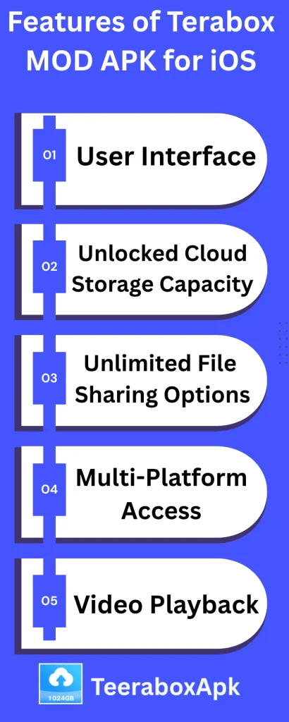 Features of Terabox MOD APK for iOS