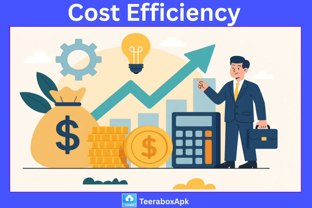 Cost Efficiency Terabox  Mod Apk